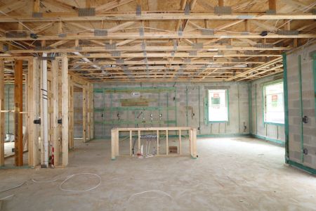 New construction Single-Family house 12114 Hilltop Farms Drive, Dade City, FL 33525 Alenza- photo 55 55