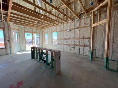 New construction Single-Family house 417 Christel Sun Lane, Aledo, TX 76008 Aster FE- photo 7