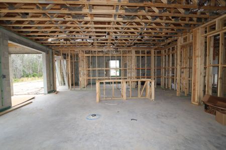 New construction Single-Family house 10614 New Morning Drive, Tampa, FL 33647 Grandsail  III- photo 15 15
