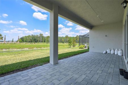 New construction Single-Family house 32317 Rosewood Meadow Lane, Wesley Chapel, FL 33543 - photo 44 44