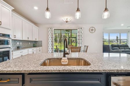 New construction Single-Family house 10806 Highland Ranch Court, Tampa, FL 33647 - photo 15 15