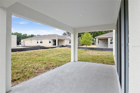 New construction Single-Family house 917 Wekiva Ridge Drive, Mount Dora, FL 32757 Moonstone- photo 21 21