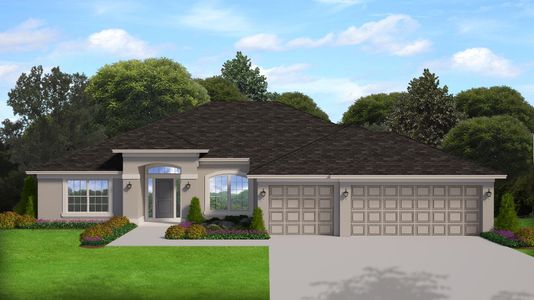 New construction Single-Family house 14152 Spring Hill Drive, Spring Hill, FL 34609 - photo 12 12