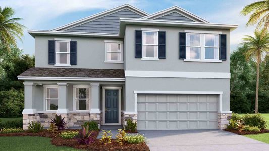 New construction Single-Family house Coral, 2637 Warren Acres Boulevard, Wesley Chapel, FL 33543 - photo