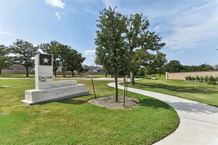 New construction Single-Family house 172 Maravillas Bnd, Bastrop, TX 78602 - photo 32 32