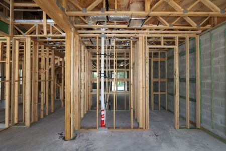 New construction Single-Family house 9635 Crescent Ray Drive, Wesley Chapel, FL 33545 Mira Lago- photo 49 49