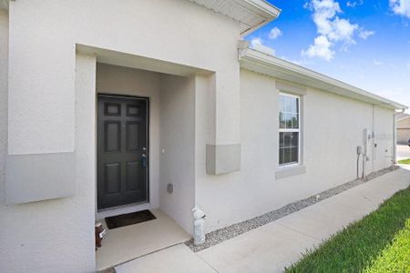 New construction Single-Family house 18058 Turning Leaf Circle, Land O' Lakes, FL 34638 - photo 14 14