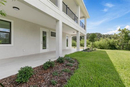 New construction Single-Family house 7 Cinnamon Beach Way, Palm Coast, FL 32137 - photo 57 57