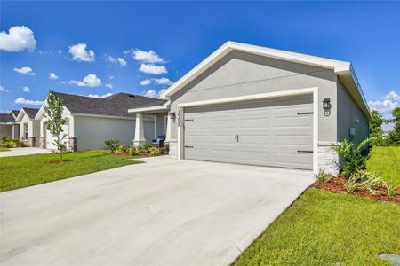 New construction Single-Family house 12350 Terrace Bluff Street, Riverview, FL 33579 - photo 7 7