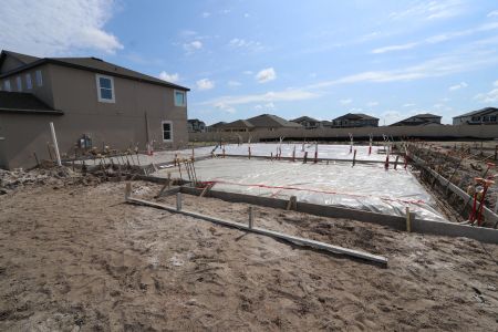 New construction Single-Family house 32568 Sapna Chime Drive, Wesley Chapel, FL 33545 Barcello- photo 3 3