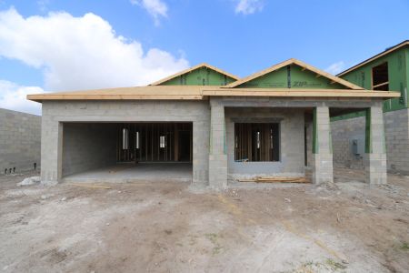 New construction Single-Family house 31843 Sapna Chime Drive, Wesley Chapel, FL 33545 Picasso- photo 13 13