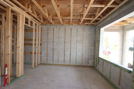 New construction Single-Family house 3024 King Fern Drive, Wimauma, FL 33598 Mira Lago- photo 39 39