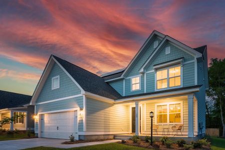 New construction Single-Family house 740 Opal Wing Street, Moncks Corner, SC 29461 - photo 0