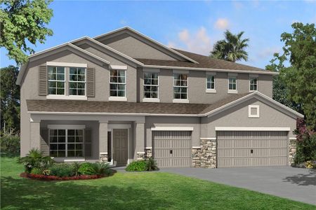 New construction Single-Family house Dali, 31979 Sapna Chime Drive, Wesley Chapel, FL 33543 - photo