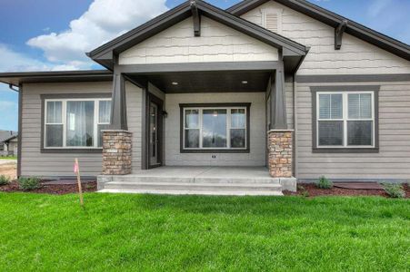 New construction Single-Family house 8412 Cromwell Circle, Windsor, CO 80528 - photo 85 85