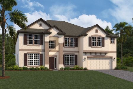 New construction Single-Family house Grandsail  III, 10805 Rolling Moss Road, Tampa, FL 33647 - photo
