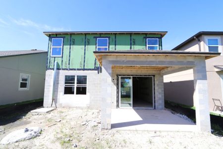New construction Single-Family house 2852 Misty Marble Drive, Zephyrhills, FL 33540 Castellana- photo 62 62