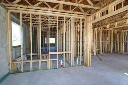 New construction Single-Family house 10614 New Morning Drive, Tampa, FL 33647 Grandsail  III- photo 19 19