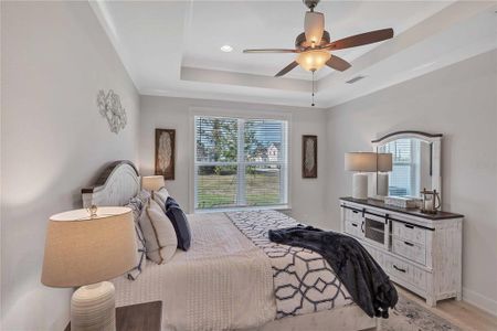New construction Townhouse house 9137 Gulf Haven Drive, Parrish, FL 34219 - photo