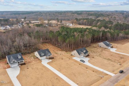 New construction Single-Family house 181 Andrews Landing Drive, Wendell, NC 27591 - photo 19 19
