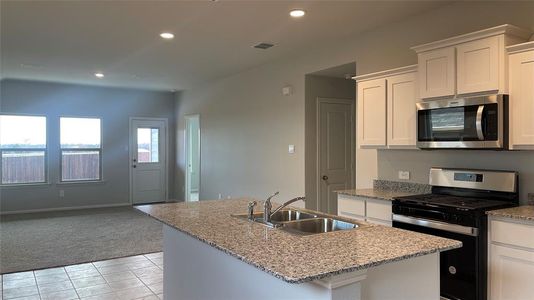 New construction Single-Family house 176 Running River Drive, Boyd, TX 76023 AMBER- photo 35 35