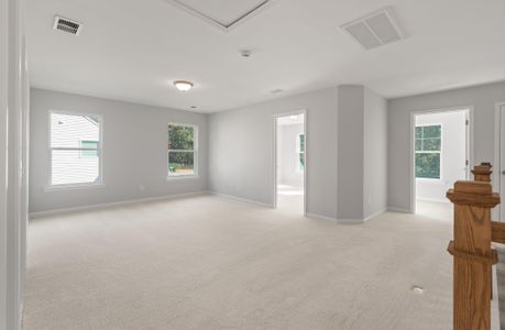 New construction Single-Family house 8811 Citronella Way, North Charleston, SC 29406 Wilmington- photo 21 21