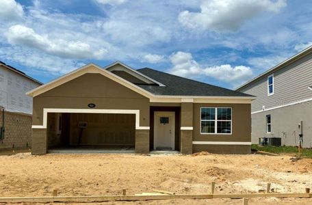 New construction Single-Family house 924 Marden Road, Apopka, FL 32703 Piedmont - Eco Series- photo 1 1