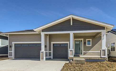 New construction Single-Family house 1840 Morningstar Way, Fort Collins, CO 80524 Harbor- photo 0 0