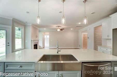 New construction Single-Family house 6106 Old Evergreen Parkway, Unit 134, Indian Trail, NC 28079 - photo 19 19