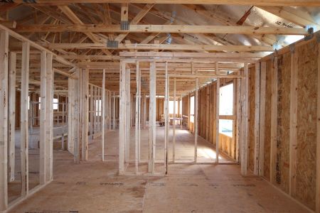 New construction Single-Family house 32556 Sapna Chime Drive, Wesley Chapel, FL 33545 Dali- photo 38 38