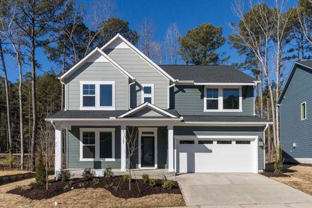 New construction Single-Family house 3391 Mission Olive Place, New Hill, NC 27562 - photo 0