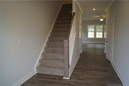 New construction Single-Family house 106 Grinnel Loop, Sanford, NC 27332 - photo