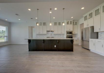 New construction Single-Family house 144 Prairie Clover Drive, Dripping Springs, TX 78620 - photo 7 7