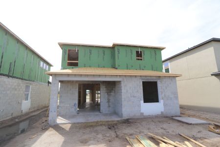New construction Single-Family house 5254 Currant Street, Lakeland, FL 33811 Marina- photo 11 11