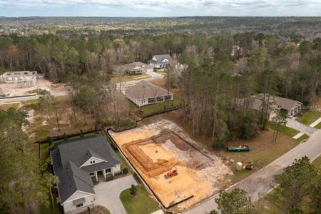 New construction Single-Family house 19602 Sheltered Hill Drive, Brooksville, FL 34601 - photo 1 1