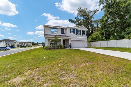 New construction Single-Family house 11136 Se 69Th Terrace, Belleview, FL 34420 - photo 3 3