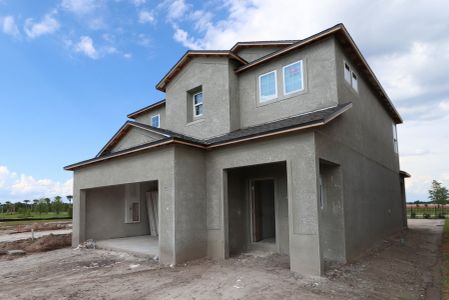 New construction Single-Family house 5238 Currant Street, Lakeland, FL 33811 Marina- photo 4 4