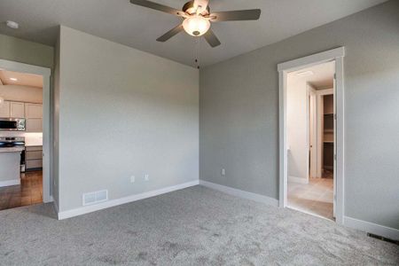 New construction Townhouse house 6248 Vernazza Way, Windsor, CO 80550 - photo 66 66