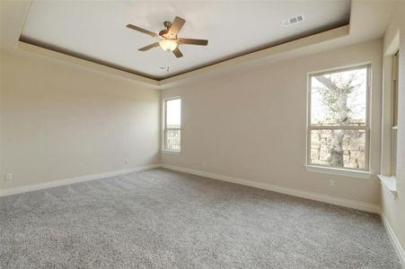 New construction Single-Family house 912 Indian Hawthornee Dr, Unit G, Georgetown, TX 78628 - photo 18 18