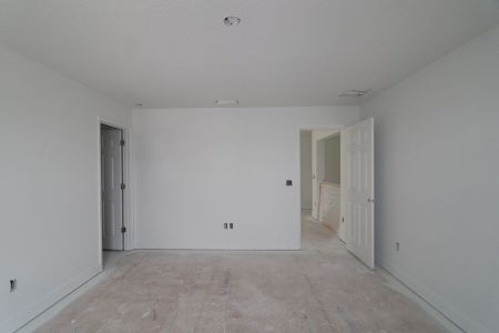 New construction Single-Family house 7719 Notched Pine Bend, Wesley Chapel, FL 33545 Palazzo- photo 57 57