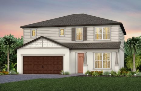 New construction Single-Family house Tilden, Cypress Bend Drive, Wesley Chapel, FL 33545 - photo