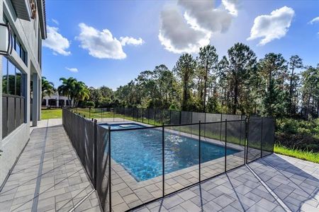 New construction Single-Family house 10395 Woodward Winds Drive, Orlando, FL 32827 - photo 23 23