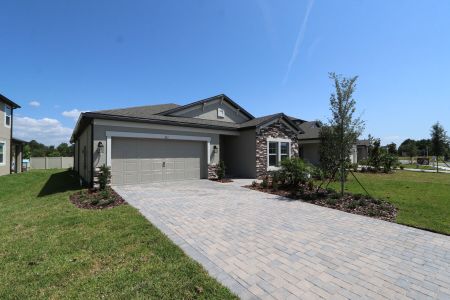 New construction Single-Family house 837 Hillshire Place, Spring Hill, FL 34609 Marque- photo 6 6