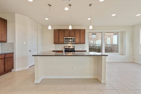 New construction Single-Family house 1000 Elenora Drive, Leander, TX 78641 - photo 42 42