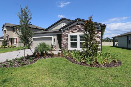 New construction Single-Family house 837 Hillshire Place, Spring Hill, FL 34609 Marque- photo 14 14