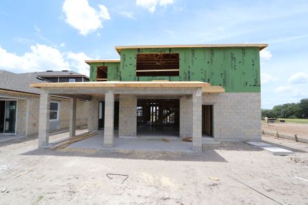 New construction Single-Family house 31823 Sapna Chime Drive, Wesley Chapel, FL 33545 Mira Lago- photo 14 14
