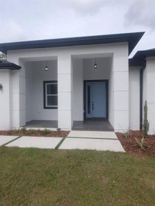 New construction Single-Family house 5825 Whippoorwill Drive, Tampa, FL 33625 - photo 2 2