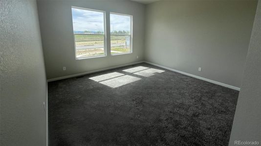 New construction Single-Family house 16867 Mckay Drive, Mead, CO 80542 - photo 10 10