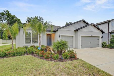 New construction Single-Family house 2824 Quail Crest Court, Valrico, FL 33594 - photo 0 0