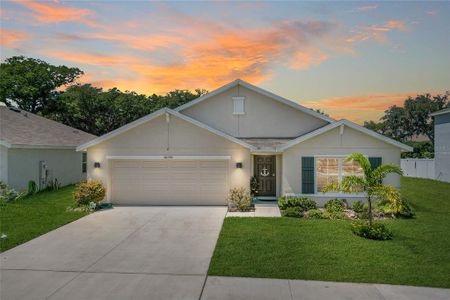 New construction Single-Family house 36296 Spanish Rose Drive, Dade City, FL 33525 - photo 3 3